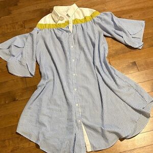 Blue & White Striped Button-Up Dress with Chartreuse Accents